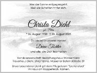 eine Anzeige